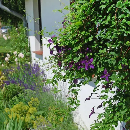 Gotland By Interhome Apartament